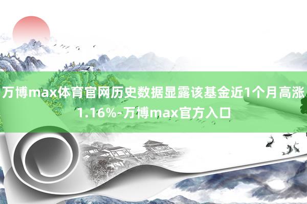 万博max体育官网历史数据显露该基金近1个月高涨1.16%-万博max官方入口