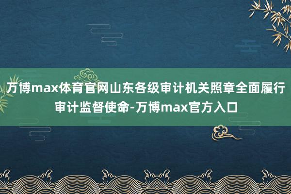 万博max体育官网山东各级审计机关照章全面履行审计监督使命-万博max官方入口